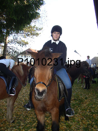 P1010231