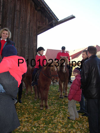 P1010232
